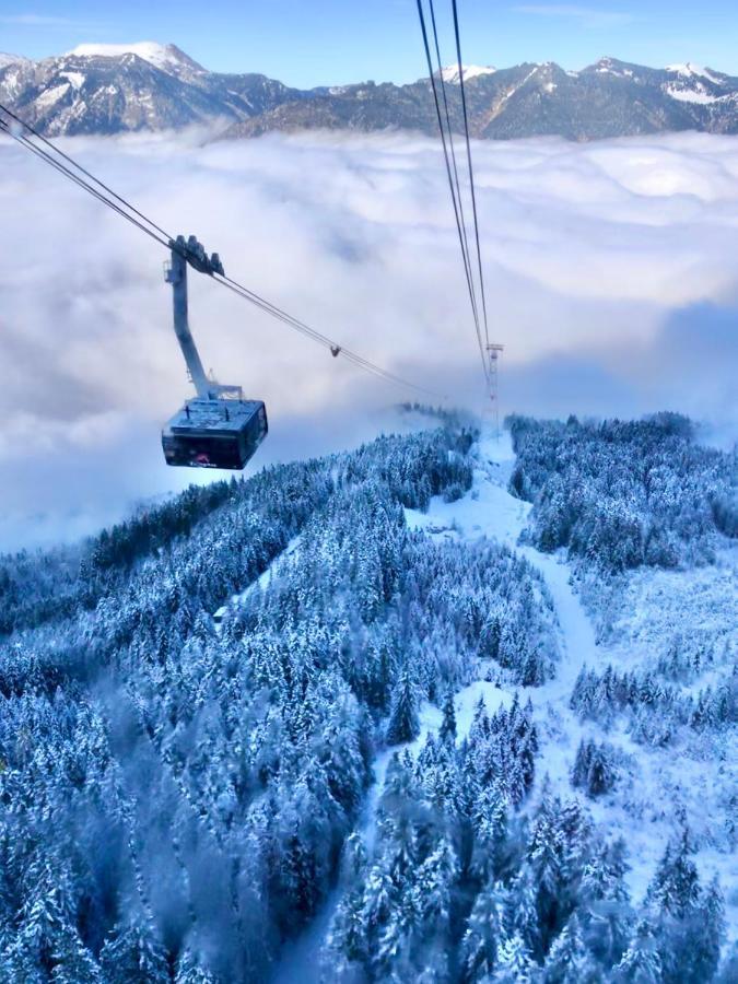 Sweet Alpen *